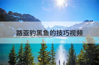 路亚钓黑鱼的技巧视频