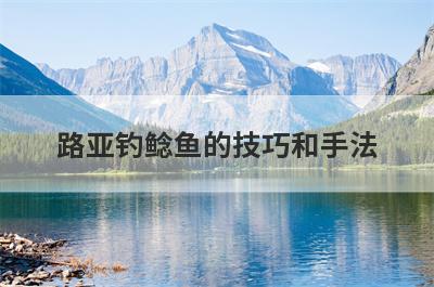 路亚钓鲶鱼的技巧和手法