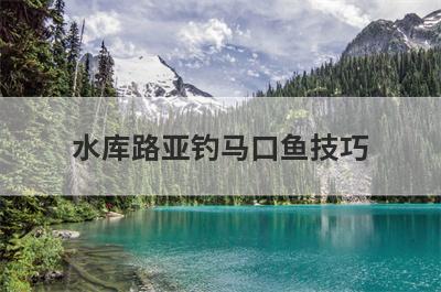 水库路亚钓马口鱼技巧