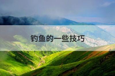 钓鱼的一些技巧