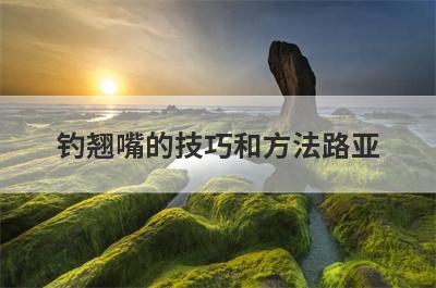 钓翘嘴的技巧和方法路亚
