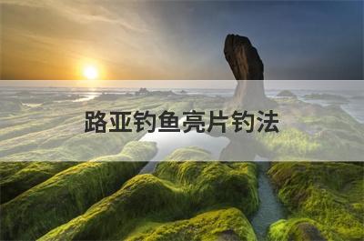 路亚钓鱼亮片钓法