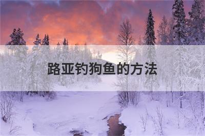 路亚钓狗鱼的方法