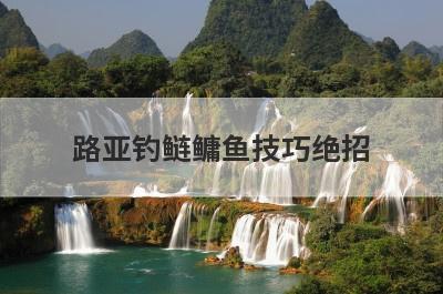 路亚钓鲢鳙鱼技巧绝招