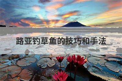 路亚钓草鱼的技巧和手法
