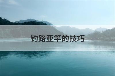 钓路亚竿的技巧