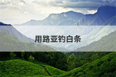 用路亚钓白条