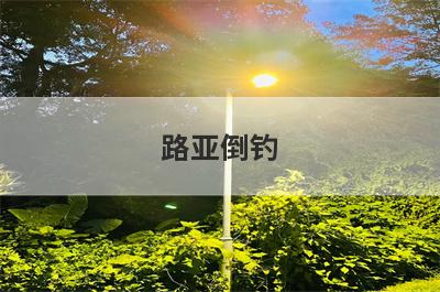 路亚倒钓
