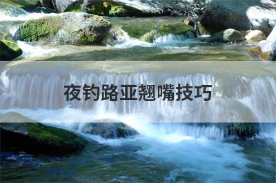 夜钓路亚翘嘴技巧