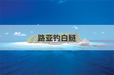 路亚钓白鲢