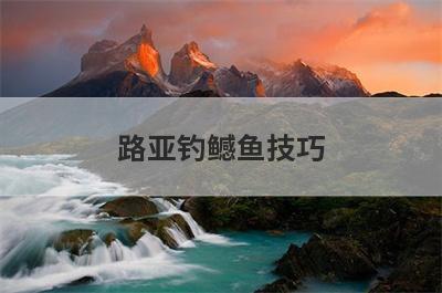 路亚钓鳡鱼技巧