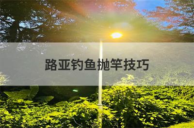 路亚钓鱼抛竿技巧