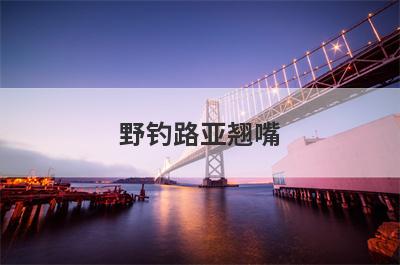 野钓路亚翘嘴
