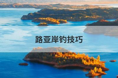 路亚岸钓技巧