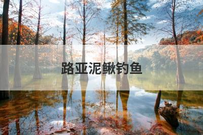 路亚泥鳅钓鱼