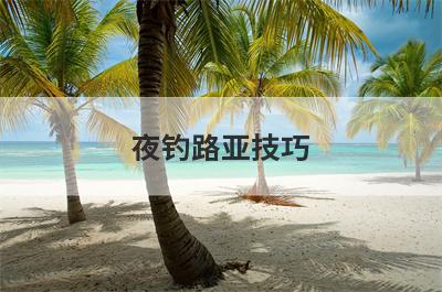 夜钓路亚技巧