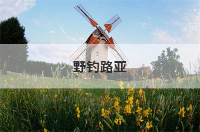 野钓路亚