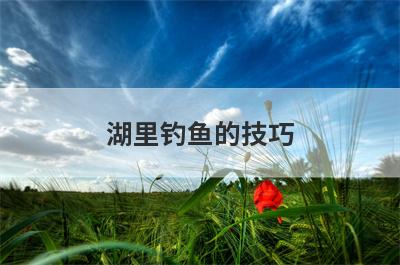 湖里钓鱼的技巧