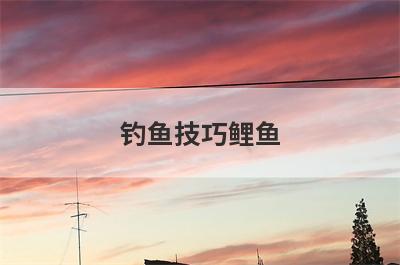 钓鱼技巧鲤鱼