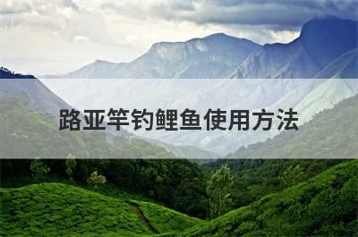 路亚竿钓鲤鱼使用方法