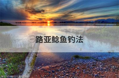 路亚鲶鱼钓法