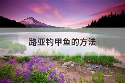 路亚钓甲鱼的方法