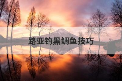 路亚钓黑鲷鱼技巧