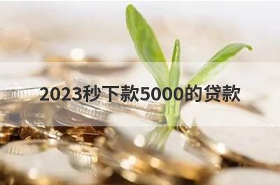 2023秒下款5000的贷款，小额借款500元马上放款