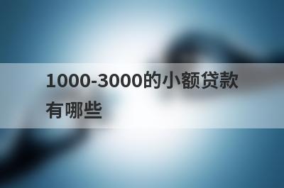 1000-3000的小额贷款有哪些？盘点5个2000以内小额借款
