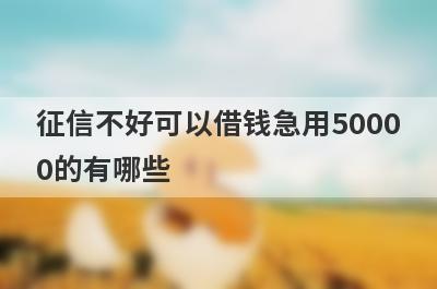 征信不好可以借钱急用50000的有哪些？独家盘点2023年不看征信的借贷平台