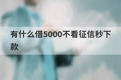 有什么借5000不看征信秒下款？这些都比较不错，急用秒到账！