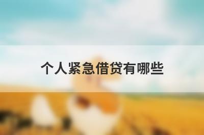 个人紧急借贷有哪些？整理5个小额应急借款