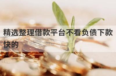 精选整理借款平台不看负债下款快的 这5个平台秒到账
