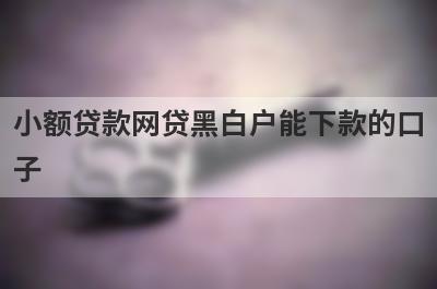 小额贷款网贷黑白户能下款的口子 这5个平台很容易通过
