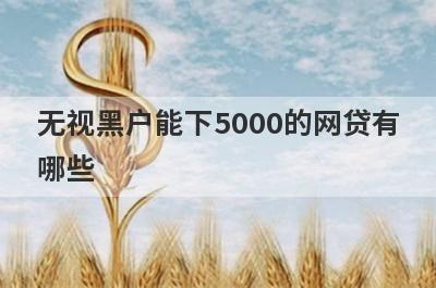 无视黑户能下5000的网贷有哪些？这5个无视黑户也能借5000