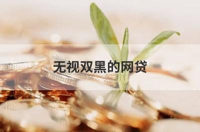 无视双黑的网贷 独家盘点无视黑白的网贷口子