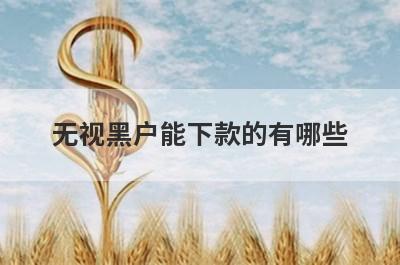 无视黑户能下款的有哪些？这几个贷款平台2023无视黑户也能下款