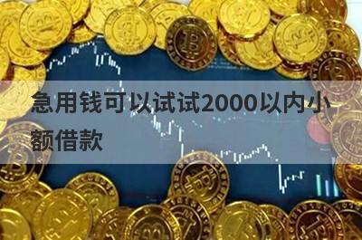 急用钱可以试试2000以内小额借款，放款快速！