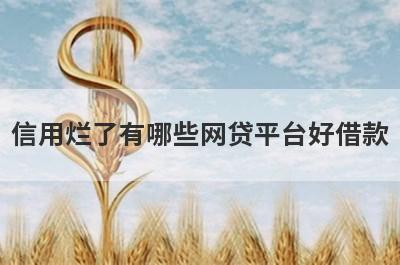 信用烂了有哪些网贷平台好借款？试试这5个借款简单的平台