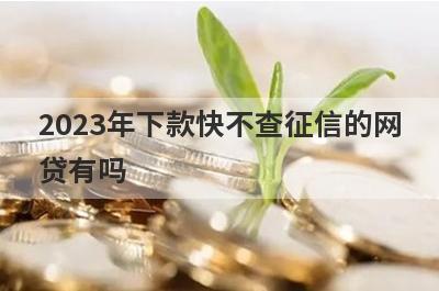 2023年下款快不查征信的网贷有吗？这些口子好通过秒下款