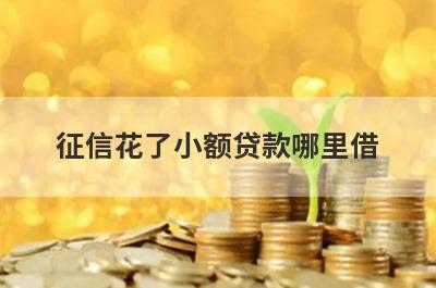 征信花了小额贷款哪里借？精选整理5个征信花了马上放款的平台