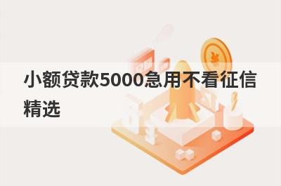 小额贷款5000急用不看征信精选 这些口子app当天放款