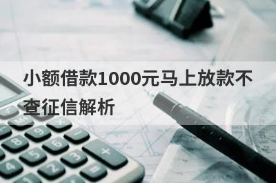 小额借款1000元马上放款不查征信解析，这5个都能满足不同的借款需求
