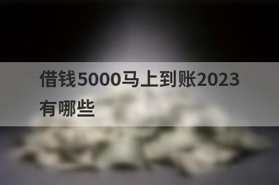 借钱5000马上到账2023
有哪些
