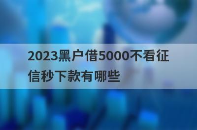 2023黑户借5000不看征信秒下款有哪些？推荐5个当天放款平台