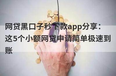 网贷黑口子秒下款app分享：这5个小额网贷申请简单极速到账！