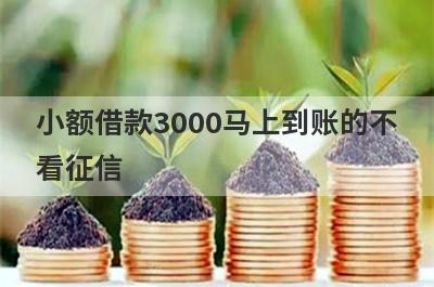 小额借款3000马上到账的不看征信 独家盘点百分百能借到钱的小额贷款