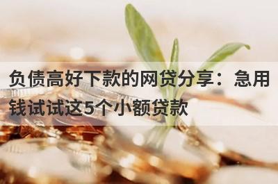 负债高好下款的网贷分享：急用钱试试这5个小额贷款！