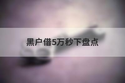黑户借5万秒下盘点，5大借款最容易下款的平台，轻松借款