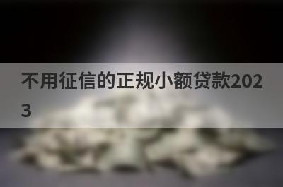 不用征信的正规小额贷款2023(不看征信最容易下款的)